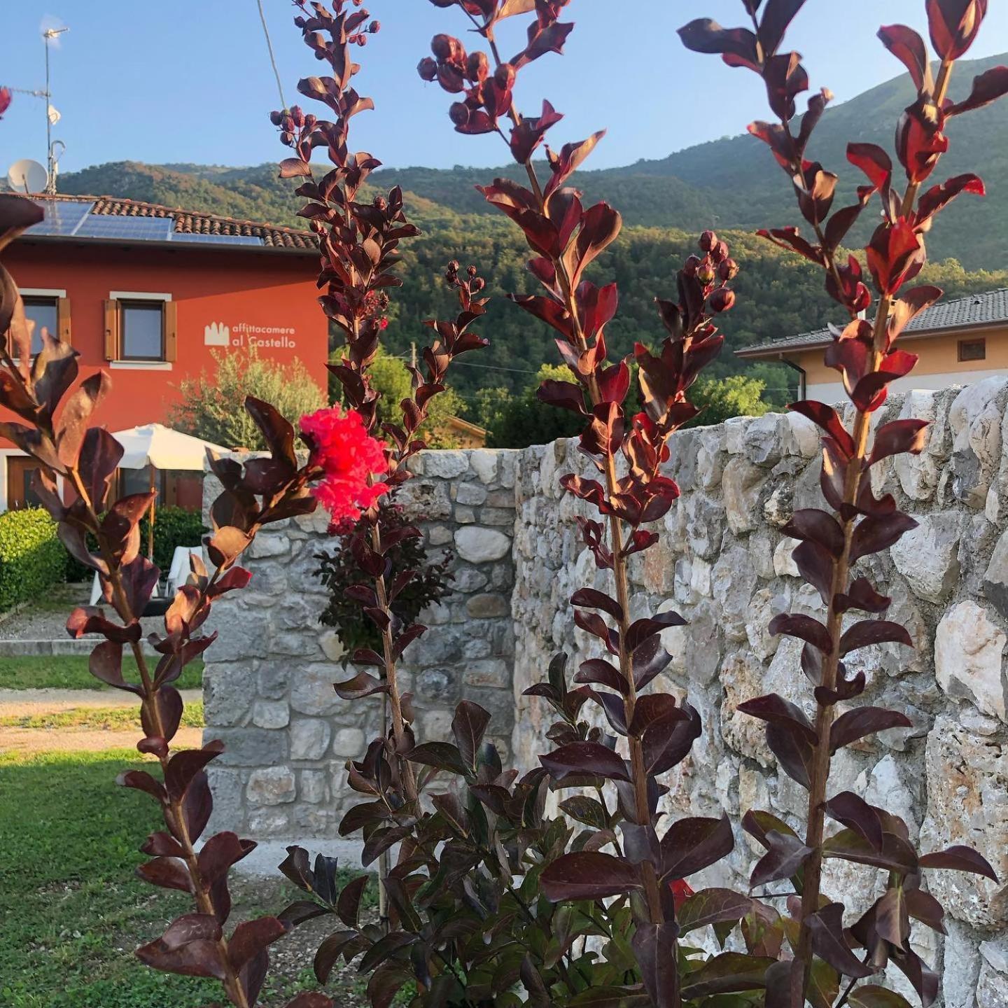 Affittacamere Al Castello Travesio Экстерьер фото